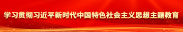 亲嘴射精视频草学习贯彻习近平新时代中国特色社会主义思想主题教育